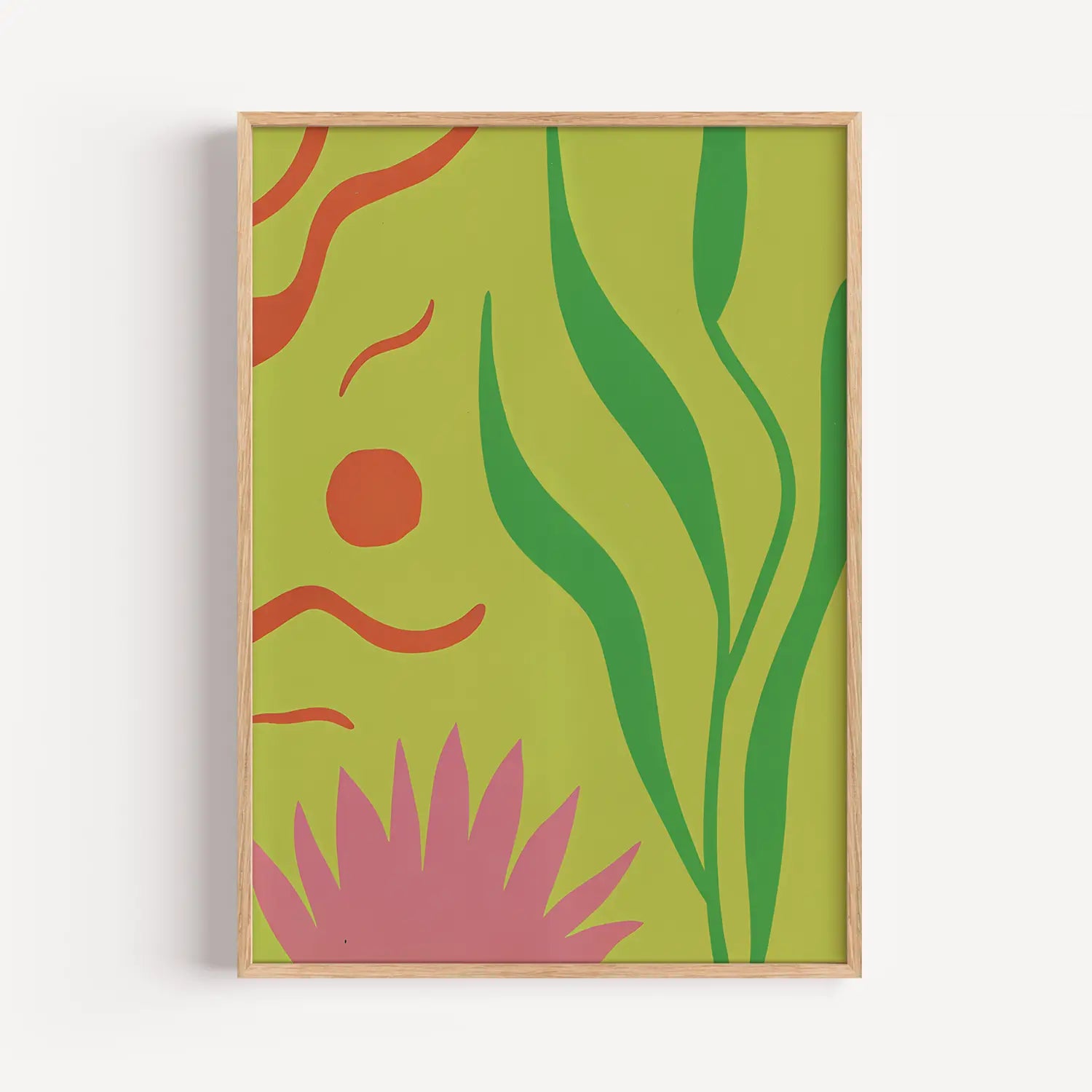 Seaweed & Corals