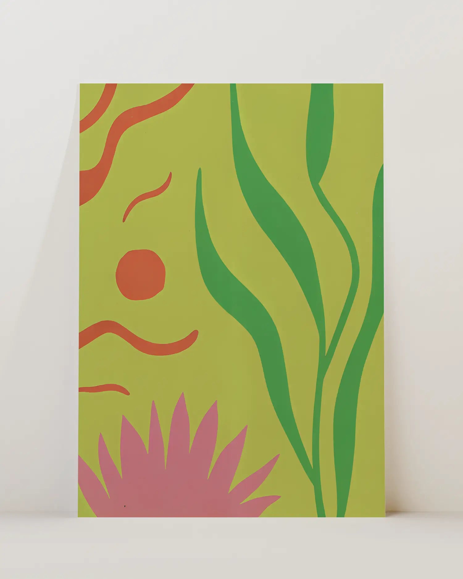 Seaweed & Corals